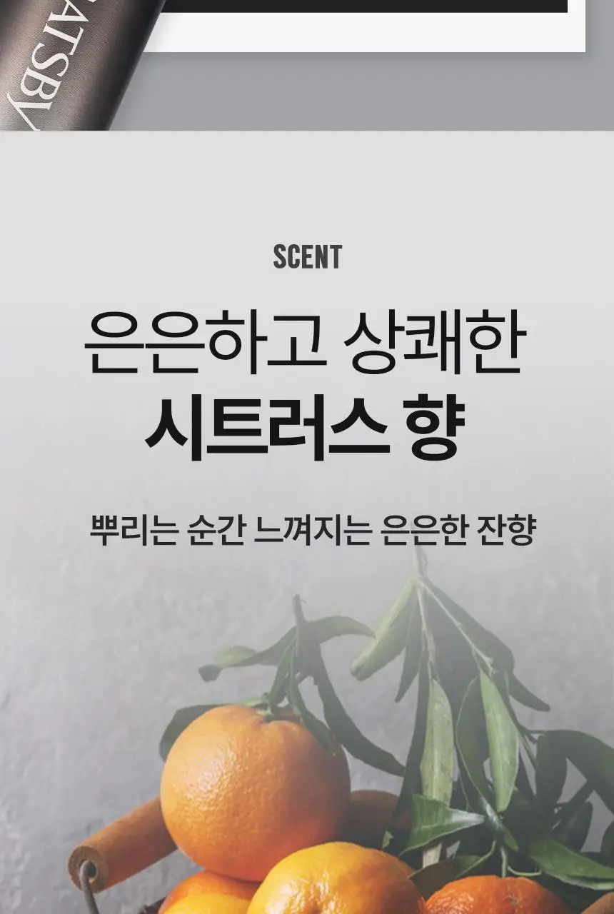 [NEW/대용량] 갸스비 스타일링 스프레이 매트&하드 300ml 상세페이지 15